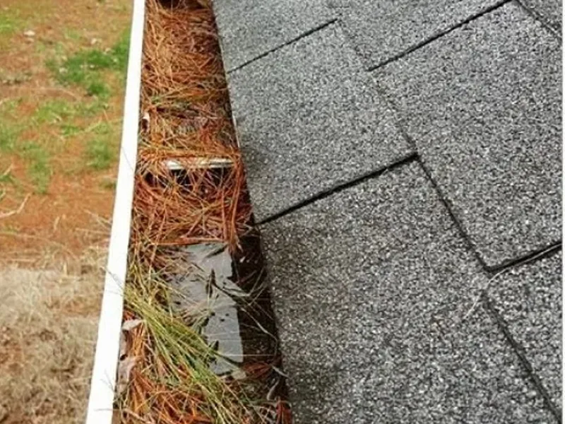 Gutter overflowing with pine needles and shingle debris before cleaning
