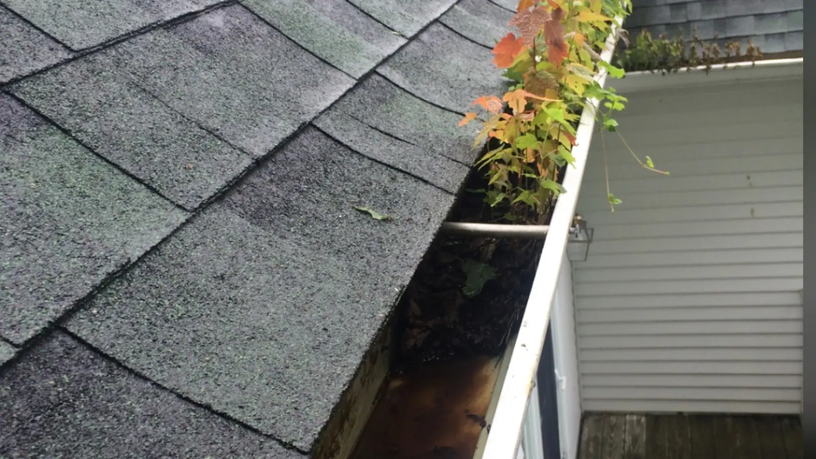 Standing water backed up in a clogged gutter against the fascia